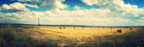 Farmland values